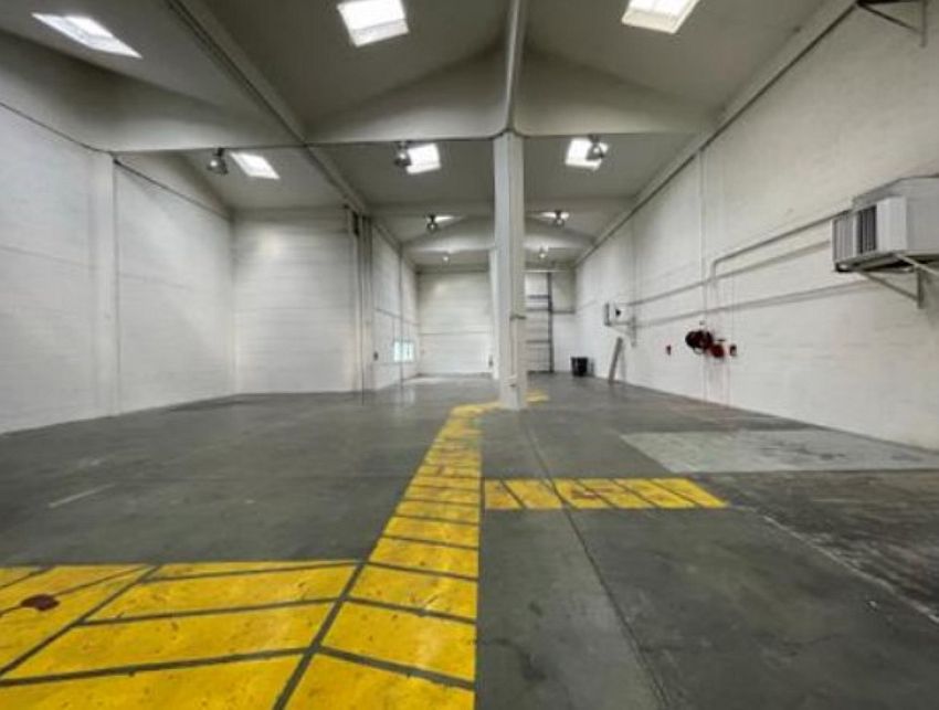 Local d'activités Location 59650 VILLENEUVE D'ASCQ