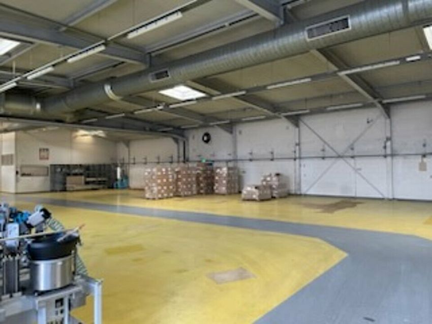 Local d'activités Location 68920 WINTZENHEIM