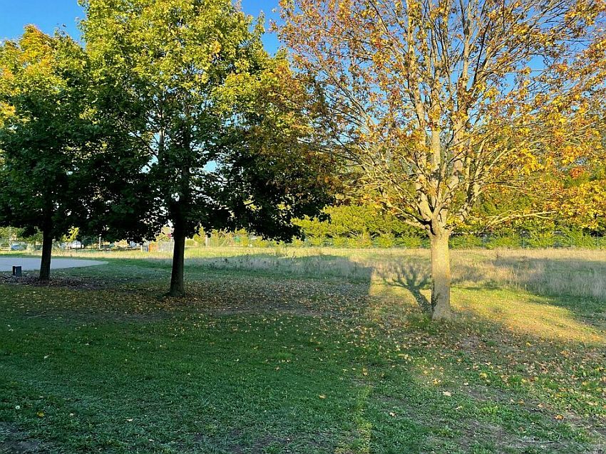 Commerce Location 68600 VOLGELSHEIM