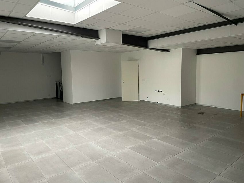 Local d'activités Vente 68180 HORBOURG WIHR