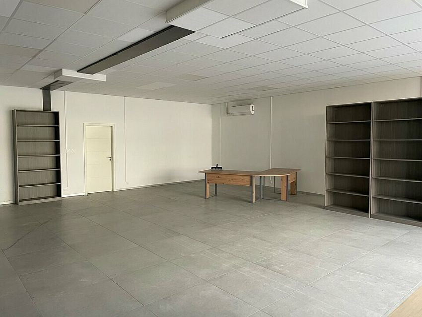 Local d'activités Vente 68180 HORBOURG WIHR