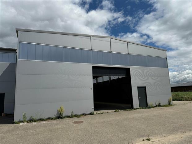 Local d'activités Location 68600 VOLGELSHEIM