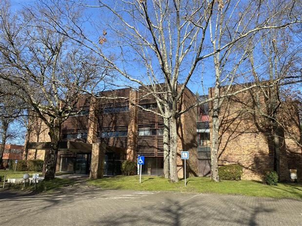 Chargement de l'image...