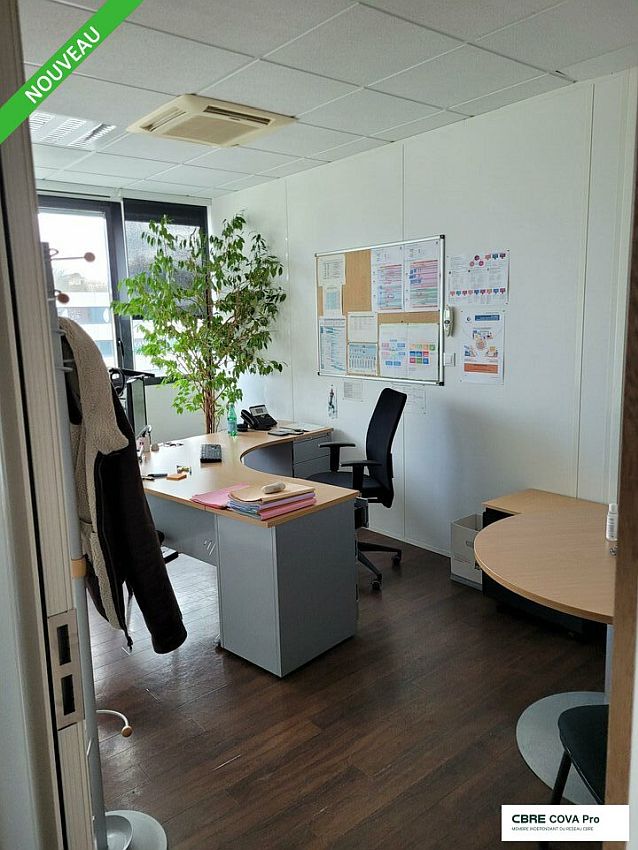 Chargement de l'image...