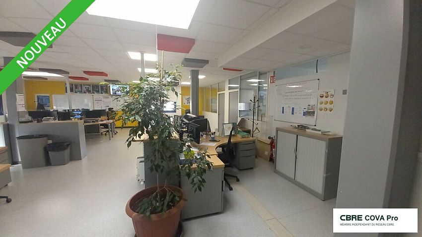 Chargement de l'image...