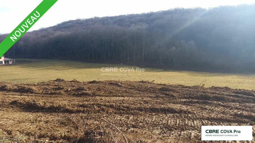 Chargement de l'image...