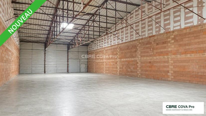 Chargement de l'image...