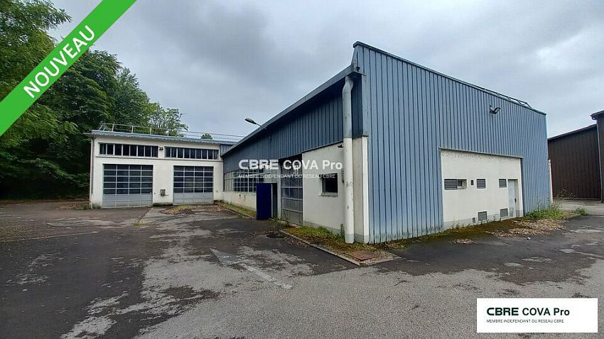 Chargement de l'image...