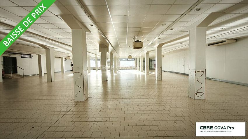 Chargement de l'image...