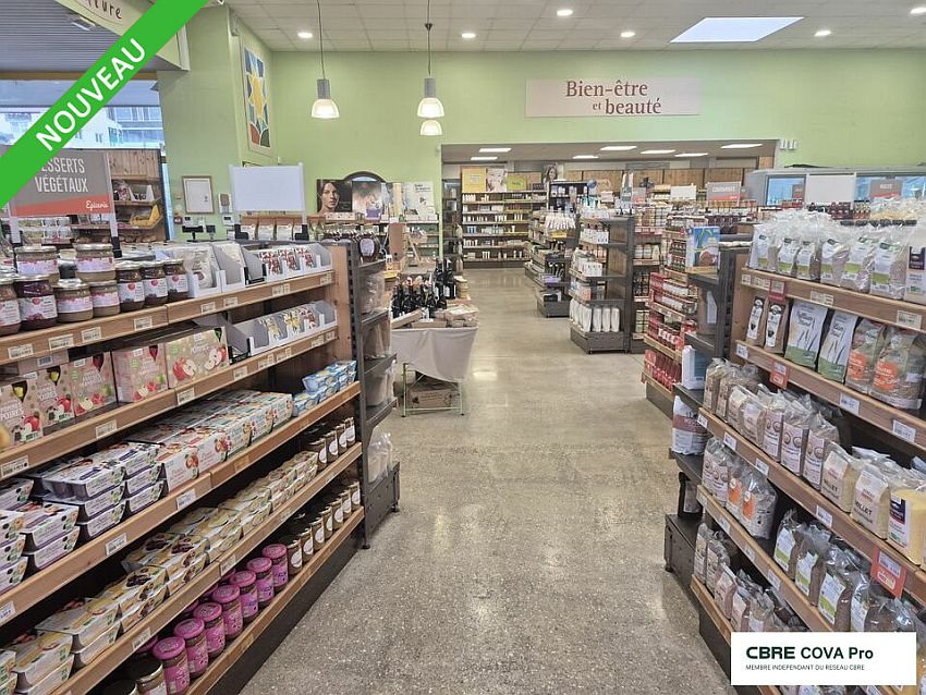 Chargement de l'image...