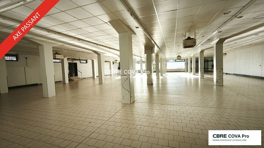 Chargement de l'image...