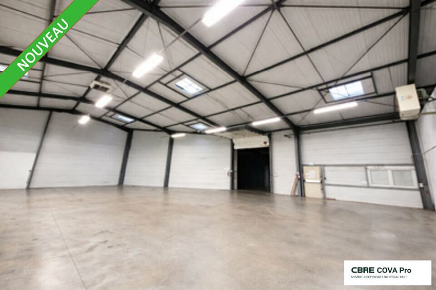 Chargement de l'image...