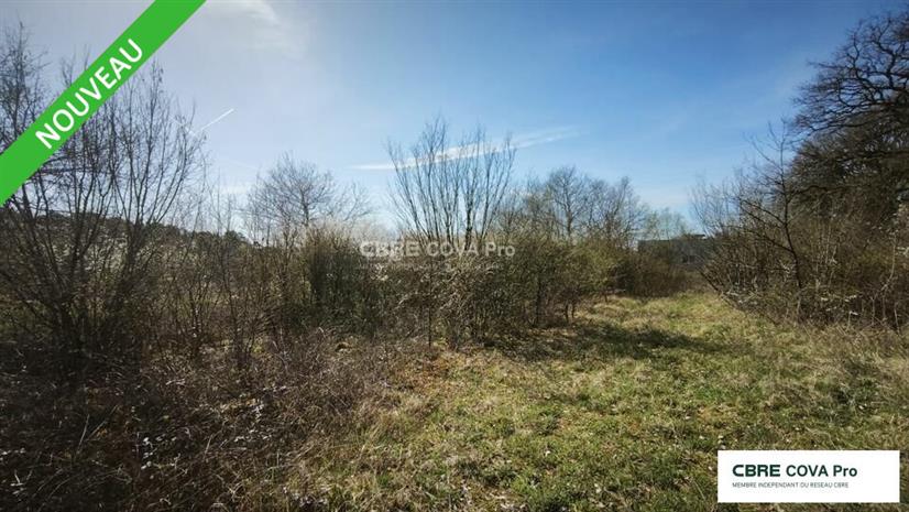 Terrain Vente 25410 VELESMES ESSARTS