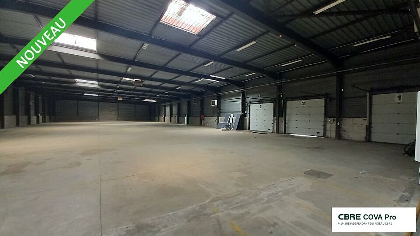 Chargement de l'image...