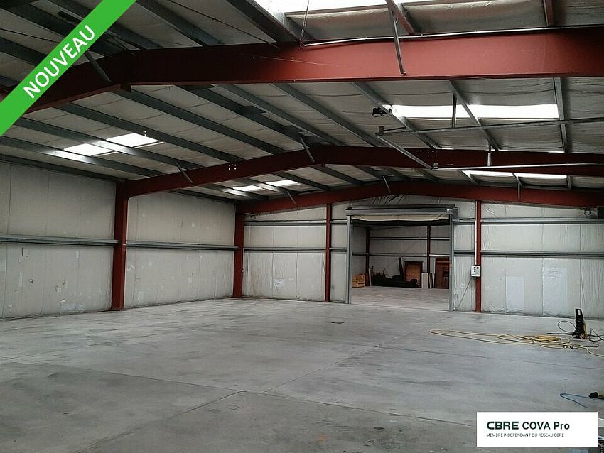 Chargement de l'image...