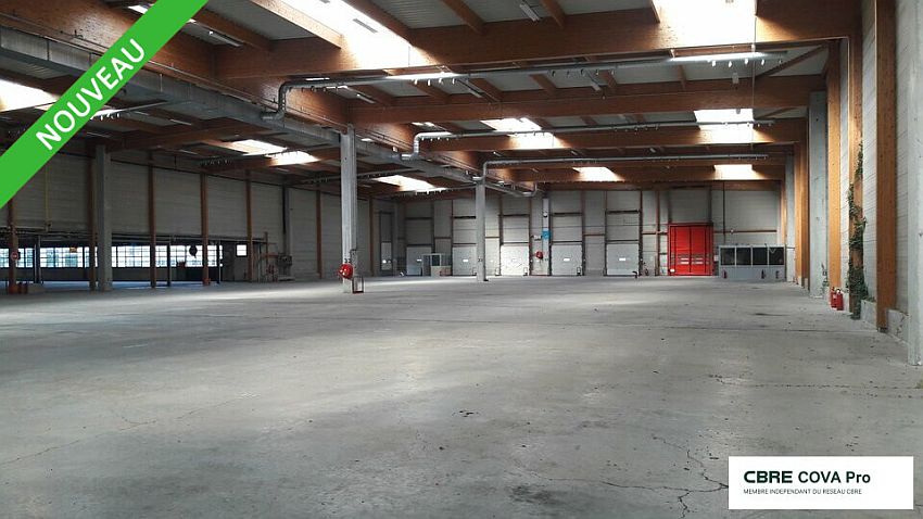 Chargement de l'image...