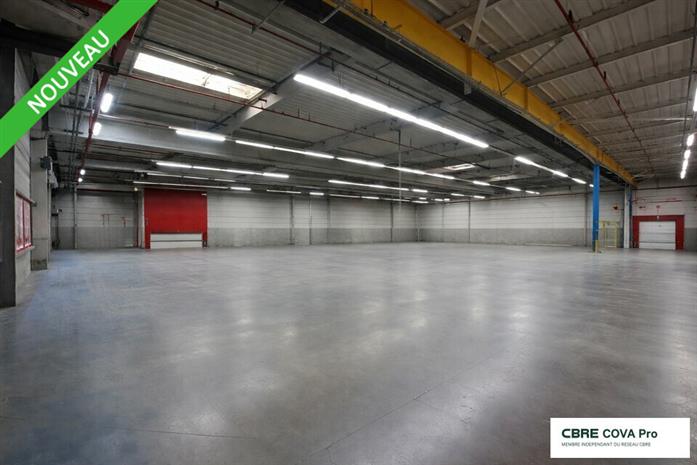 Entrepôt / Local d'activités Vente 39260 MOIRANS-EN-MONTAGNE