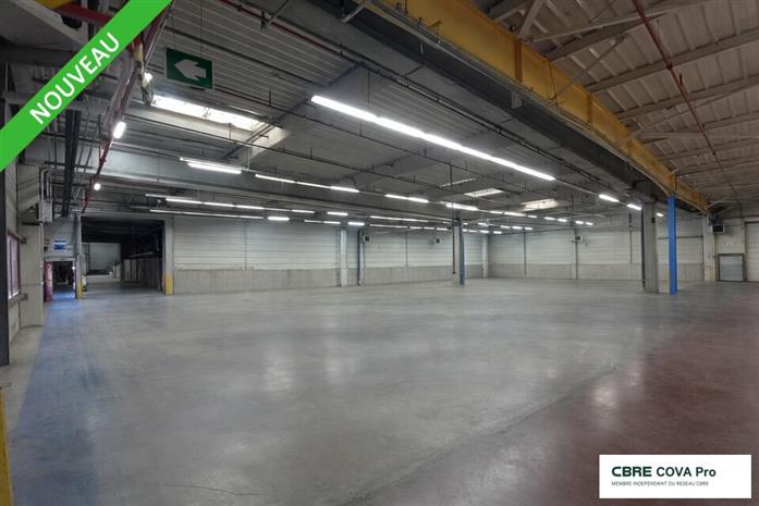 Entrepôt / Local d'activités Vente 39260 MOIRANS-EN-MONTAGNE