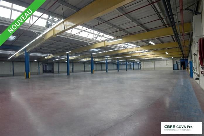 Entrepôt / Local d'activités Vente 39260 MOIRANS-EN-MONTAGNE