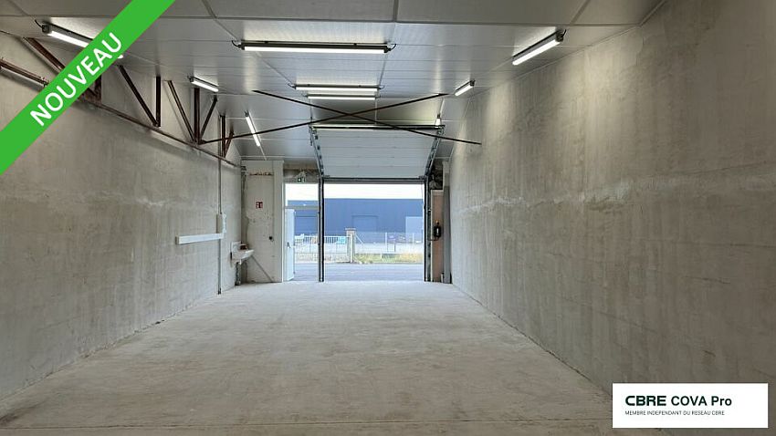 Chargement de l'image...