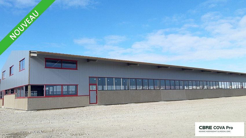 Chargement de l'image...