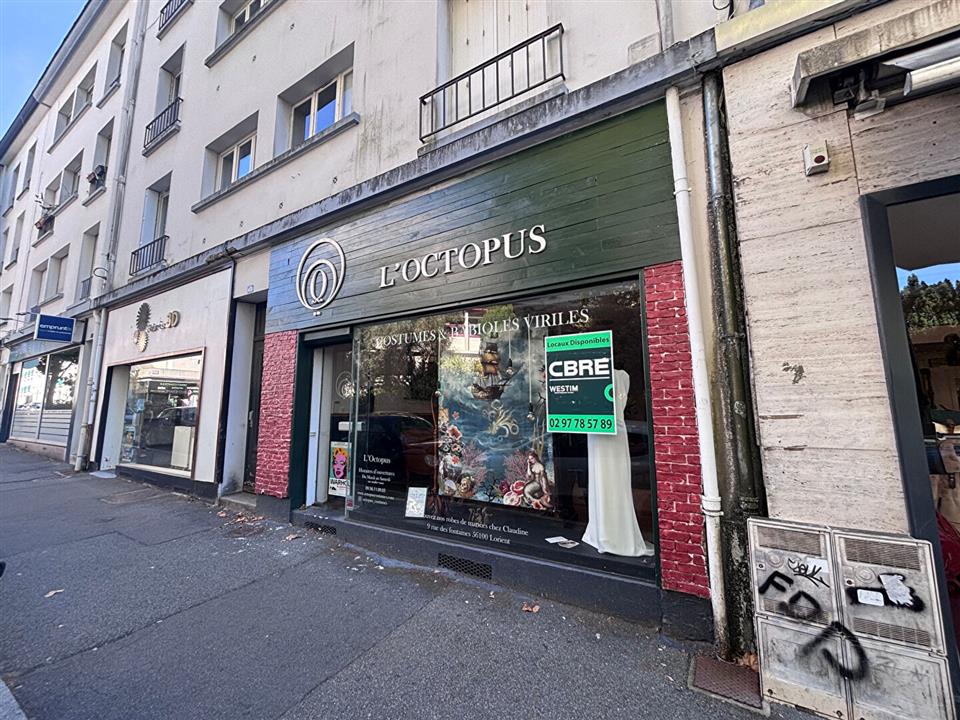 Chargement de l'image...