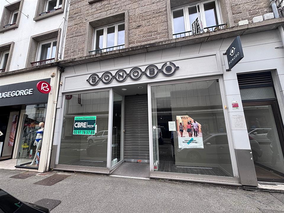 Chargement de l'image...