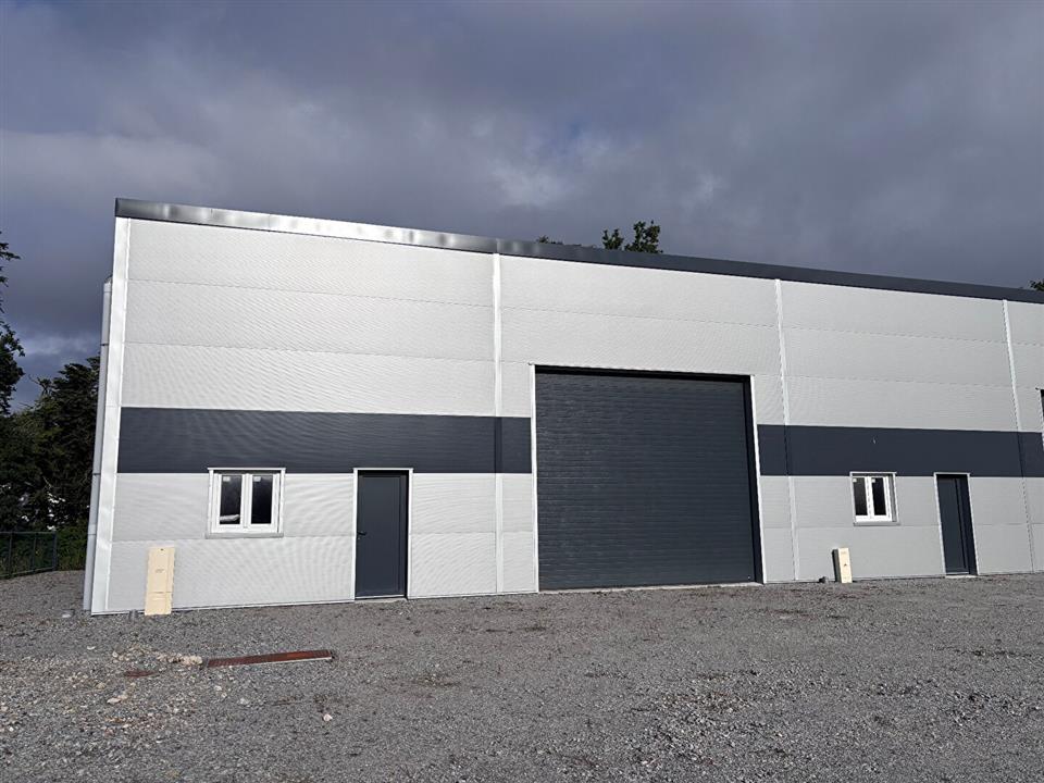 Chargement de l'image...