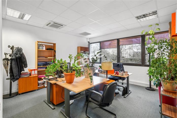 Chargement de l'image...