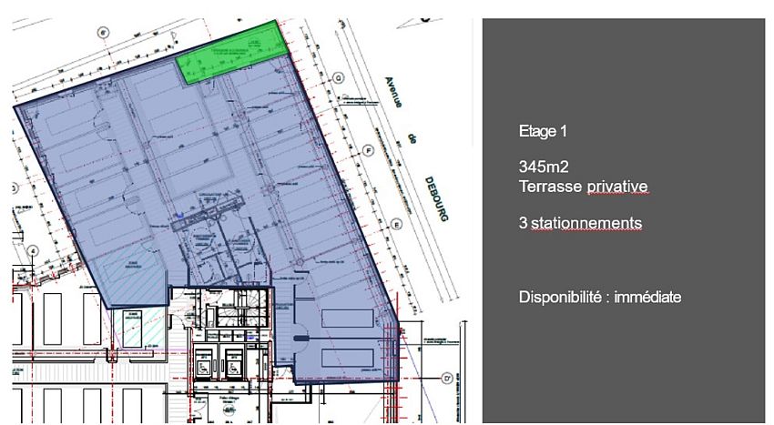 Bureau Location 69007 LYON 259-261 AVENUE JEAN JAURES