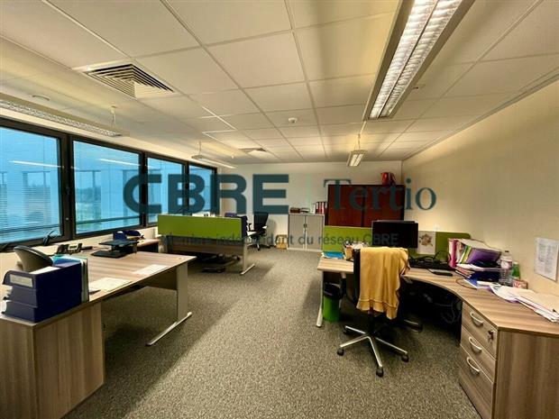 Chargement de l'image...