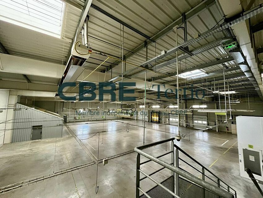 Local d'activités Location 37300 JOUÉ-LÈS-TOURS