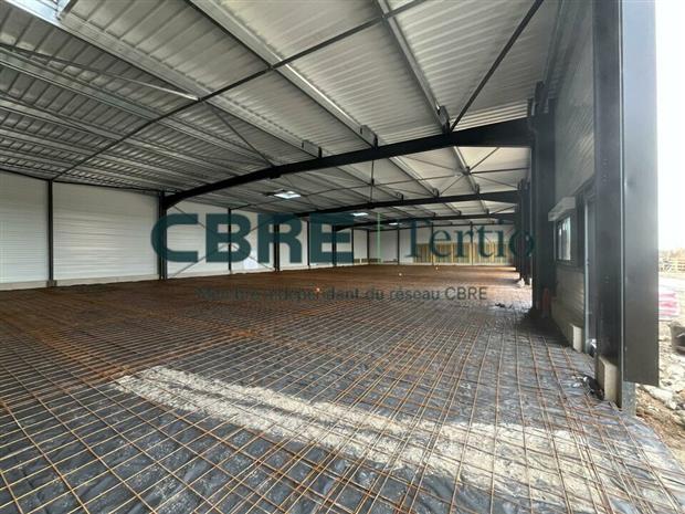 Chargement de l'image...