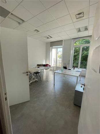 Chargement de l'image...