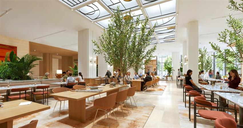 Bureau Location 75008 PARIS 23BIS RUE DE VIENNE