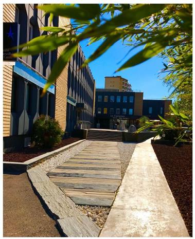 Chargement de l'image...