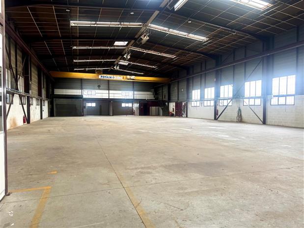 Local d'activités Location 69680 CHASSIEU