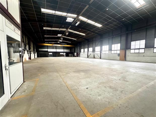 Local d'activités Location 69680 CHASSIEU