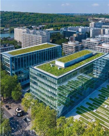 Chargement de l'image...