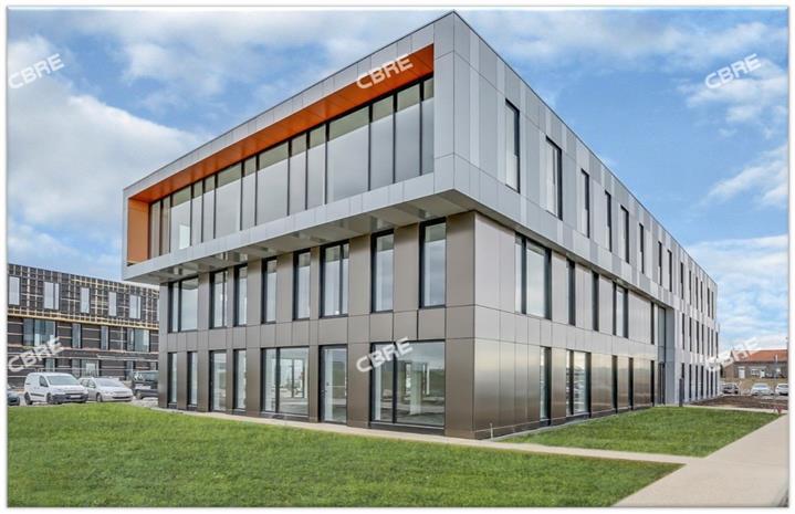 Chargement de l'image...