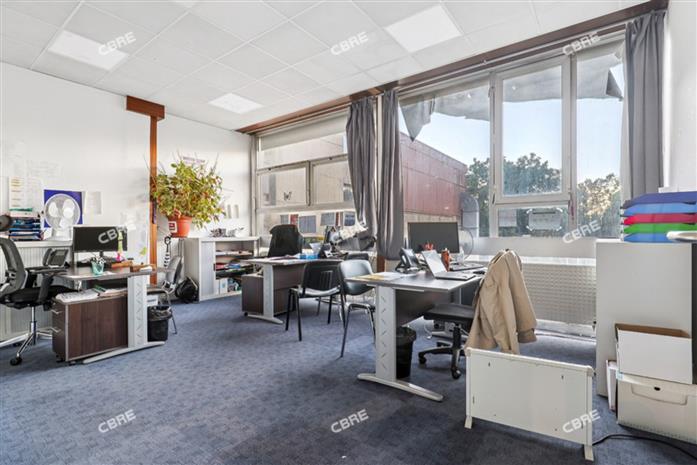 Chargement de l'image...