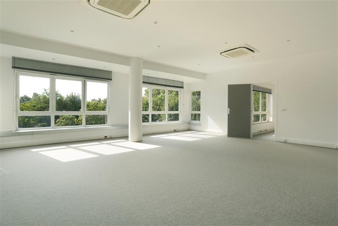 Chargement de l'image...