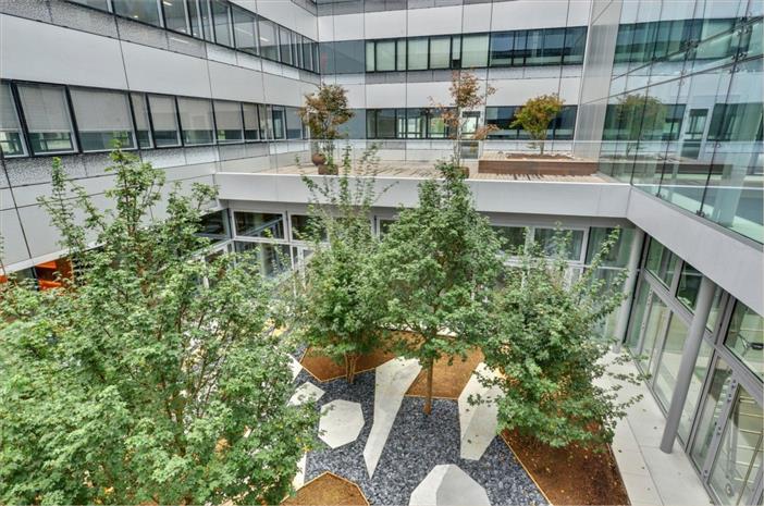 Chargement de l'image...