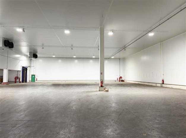 Local d'activités Location 94310 ORLY