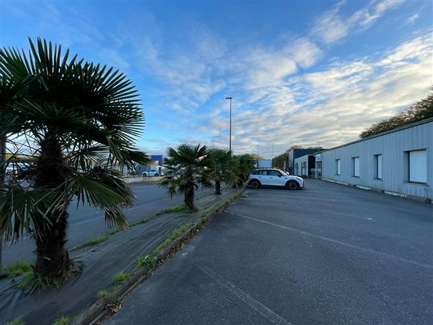 Chargement de l'image...