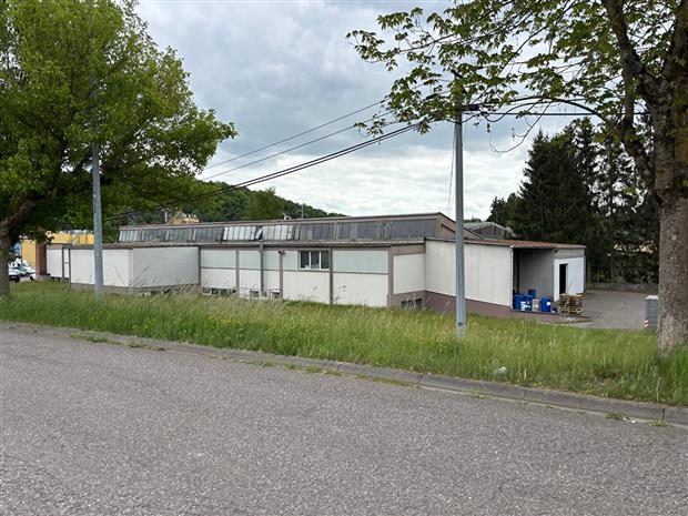 Local d'activités Vente 57500 SAINT AVOLD