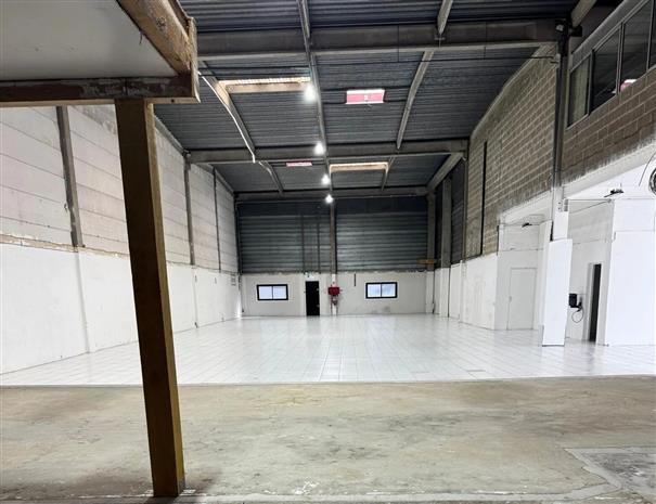 Chargement de l'image...