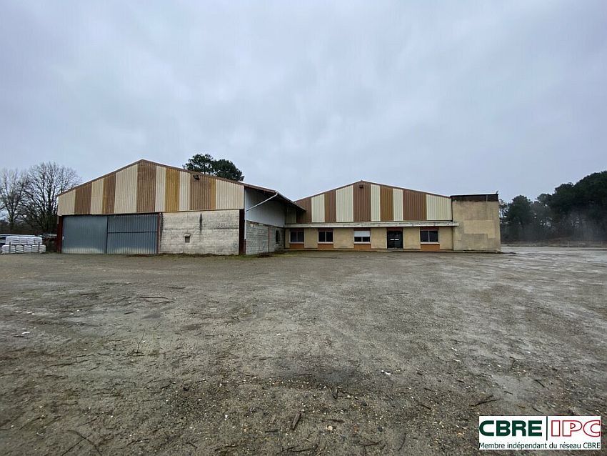 Local d'activités Vente 40000 MONT-DE-MARSAN  
