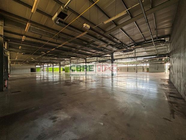 Local d'activités Vente 64140 LONS  