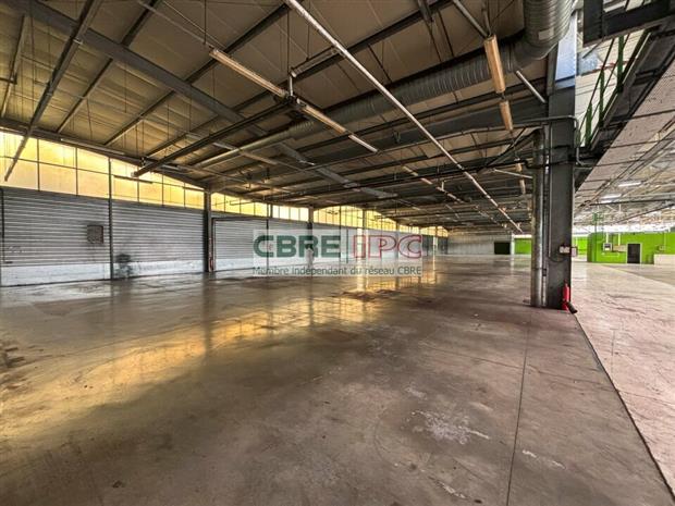 Local d'activités Vente 64140 LONS  